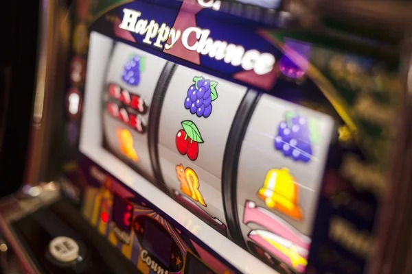 wnitogel platform showing slot tournaments, live-dealer tables, and sportsbook markets integrated in dashboard